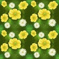Buttercups and chamomile flowers under the sun. Royalty Free Stock Photo